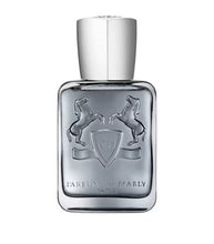 Load image into Gallery viewer, Parfums De Marly Castley Eau De Parfum 75 ML