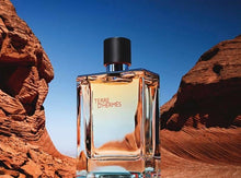 Load image into Gallery viewer, Hermes Terre D'Hermes 200ml Pure Parfum
