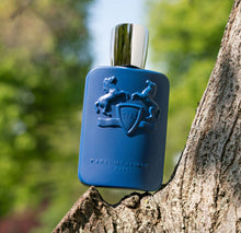 Load image into Gallery viewer, Parfums de Marly Percival Men Eau de Parfum 125 ml