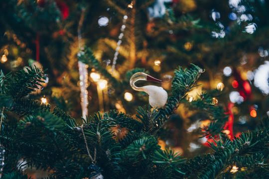 Top 10 Aftershaves For Him This Christmas