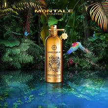 Load image into Gallery viewer, Montale Bengal Oud EDP 100ml
