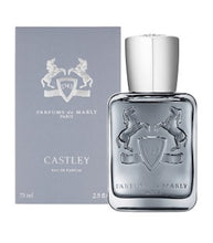 Load image into Gallery viewer, Parfums De Marly Castley Eau De Parfum 75 ML
