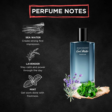 Load image into Gallery viewer, Davidoff Cool Water Parfum 100ml
