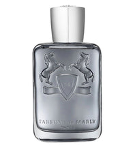 Load image into Gallery viewer, Parfums De Marly Castley Eau De Parfum 125 Ml
