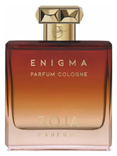 Load image into Gallery viewer, Roja Parfums Enigma Pour Homme Parfum Cologne 100ml

