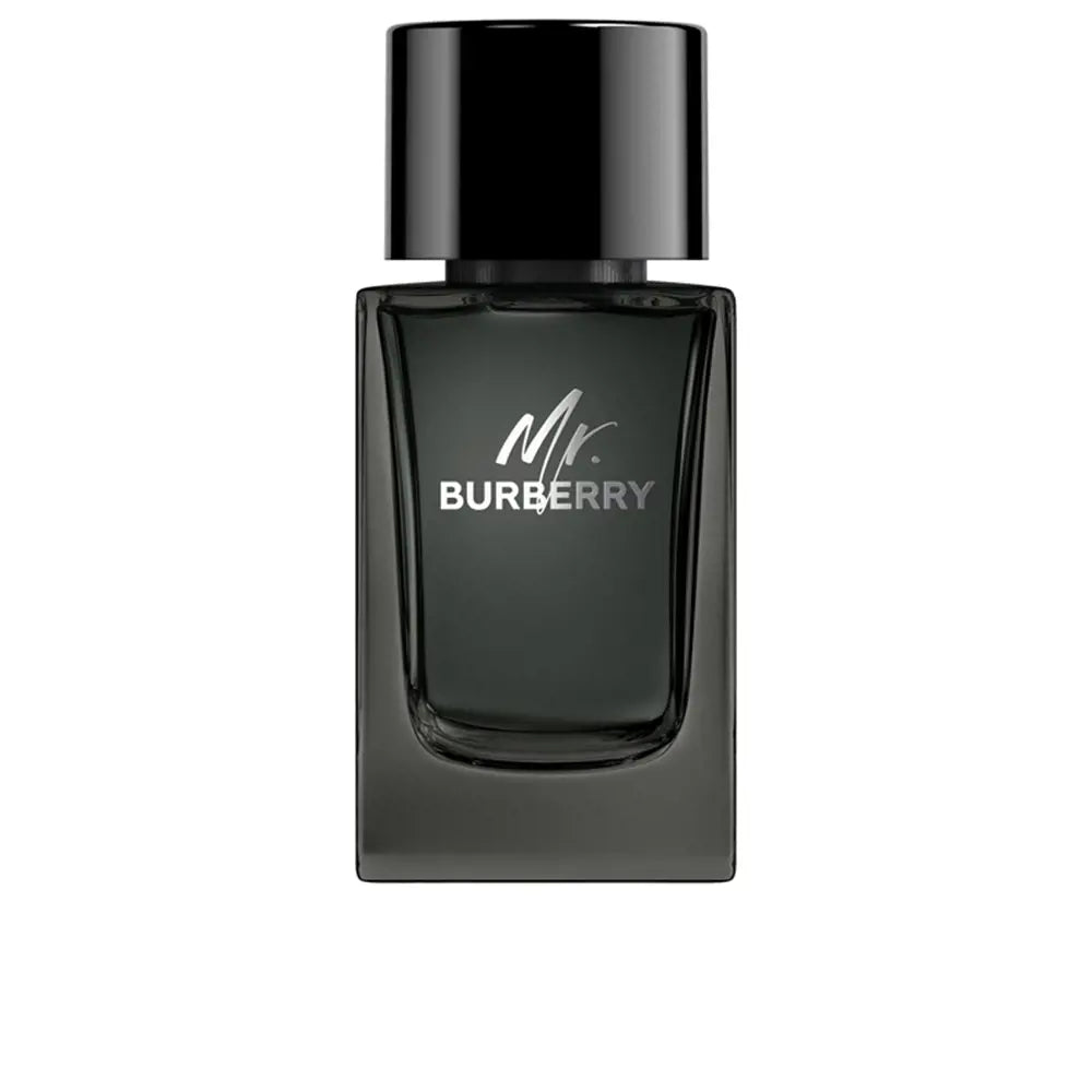 Burberry Mr Burberry EDP 100ml