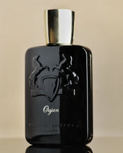 Load image into Gallery viewer, Parfums De Marly Oajan EDP 125ml
