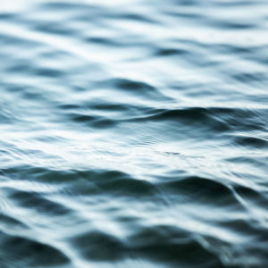 Aquatic fragrances