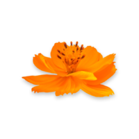 spring-isolated-image spring-isolated-image