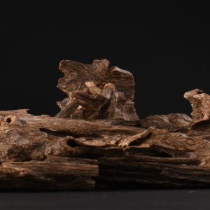 Wood fragrances